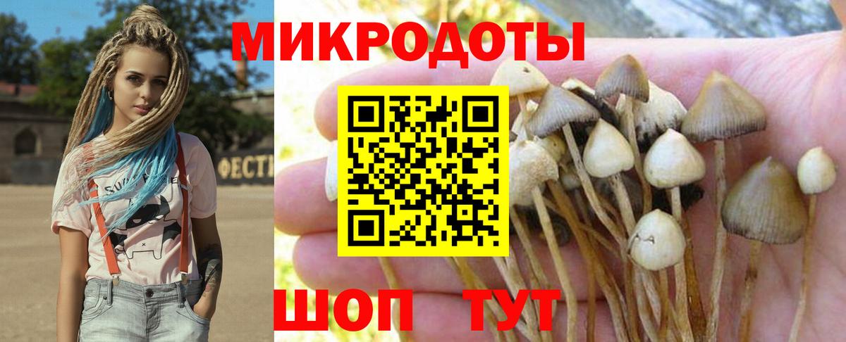 Ишимбай  Псилоцибиновые грибы ЛСД  Вход с VPN 